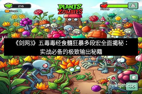 《剑网3》五毒毒经食髓狂暴多段宏全面揭秘：实战必备的极致输出秘籍